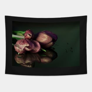 iaht crocus wall picture Tapestry