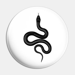 Black Real Snake Pin