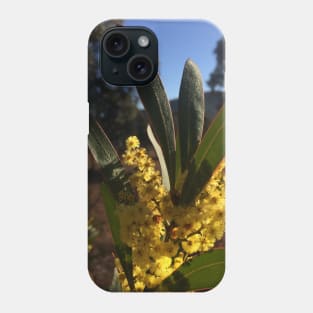 Wattle Flowers Phone Case