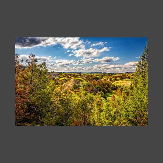 North Dakota Badlands by Gestalt Imagery