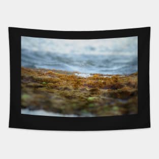 Ko Olina beach Tapestry