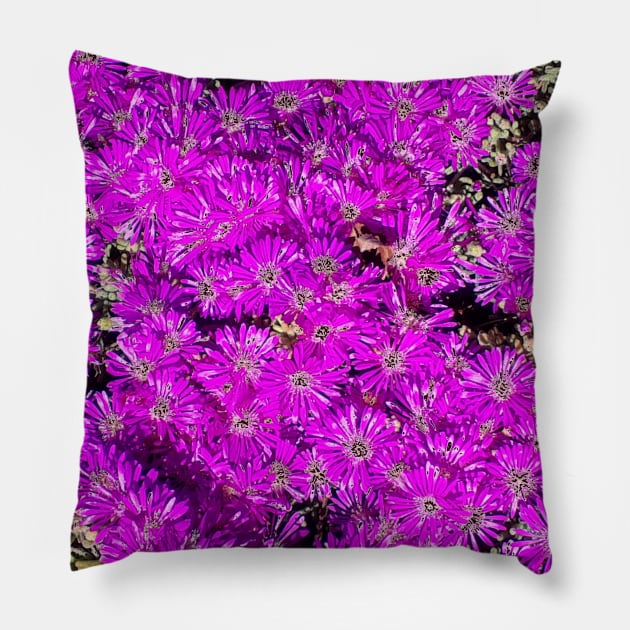 Pink Flower Bed Photography My Pillow by ShubShank