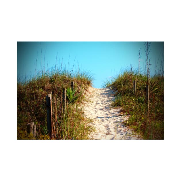 Steep Beach Path by Cynthia48