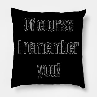 White lies party ideas  - Of course I remember you Pillow