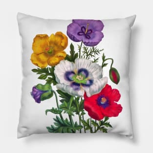 Colorful poppies Pillow