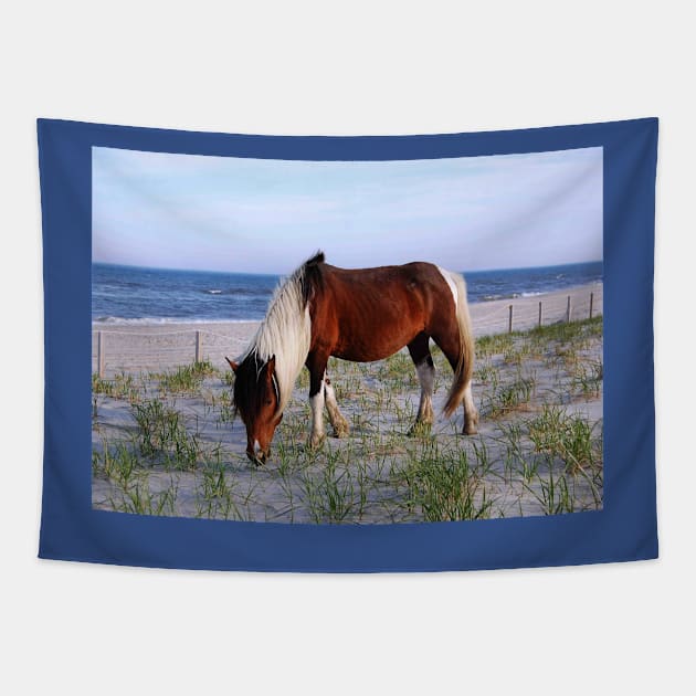 Wild horses, wildlife, gifts, Assateague, Upon the Dunes Tapestry by sandyo2ly