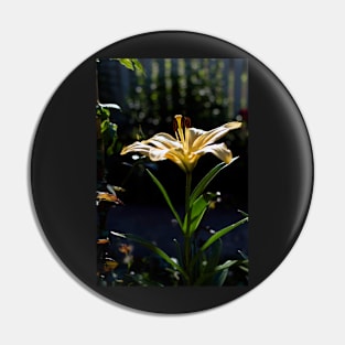 Yellow lily (Lilium) flower Pin