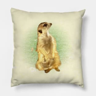 Meerkat Pillow