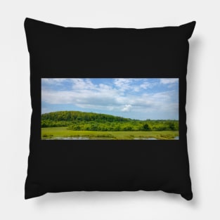 Scenery Pillow