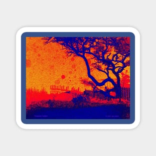 Tangerine Twilight Magnet