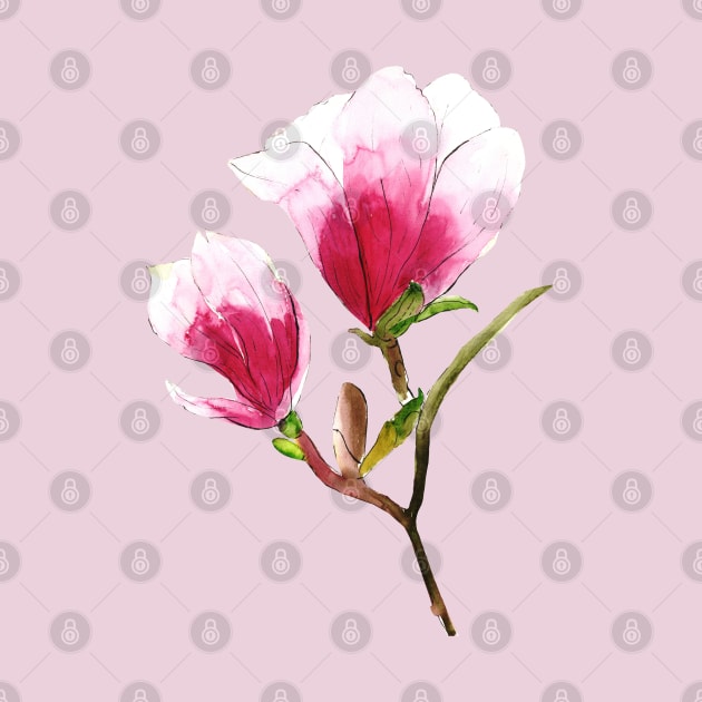 Magnolia Flowers Watercolor Painting by Ratna Arts