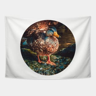 Duck on a Rock Photograph Tapestry