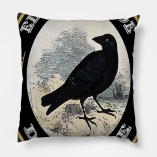 Edgar Allan Poe Ale Pillow