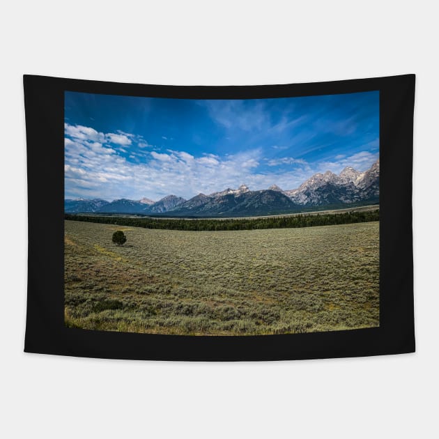 The Grand Tetons Tapestry by Ckauzmann