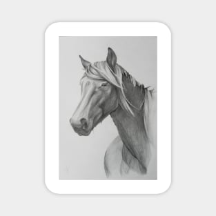 Horse portrait Magnet