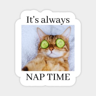 Most Likely to Take a Nap, It's Always Nap Time Funny Cat Magnet