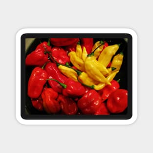 Red and Yellow Peppers Magnet