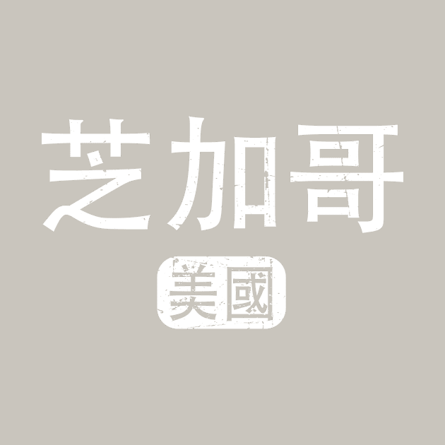 Chicago United States in Chinese by launchinese