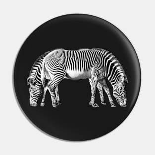 Zebra End to End - Double Stripes Pin