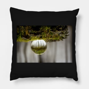 Oculus Mossy Wood Pillow