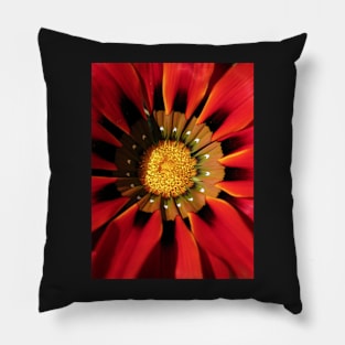 Gazanea Flower from Morgan Pillow