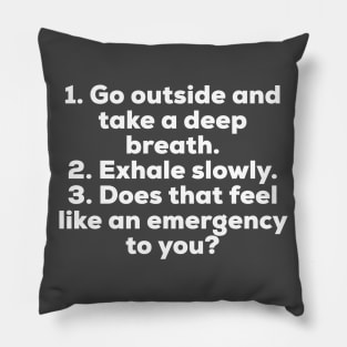 Climate Emergency Pillow