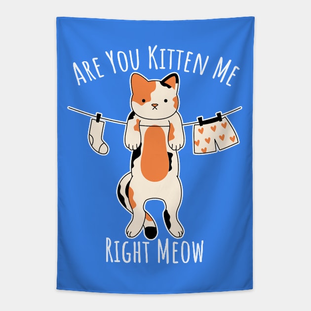 Are You Kitten Me Right Meow Tapestry by PorcupineTees