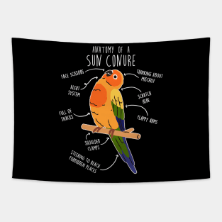 Sun Conure Parrot Anatomy Tapestry