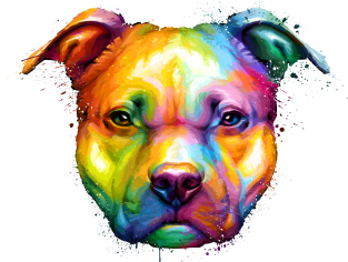 American Pit Bull Terrier Colorful Painting Magnet