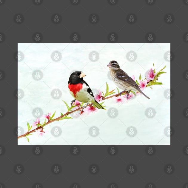 Rose Breasted Grosbeak Couple by lauradyoung