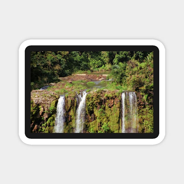 Chamarel Waterfalls, Mauritius Magnet by Carole-Anne