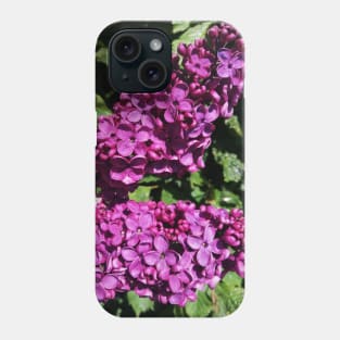 Lovely Lilac Flower Blooming In Spring Phone Case