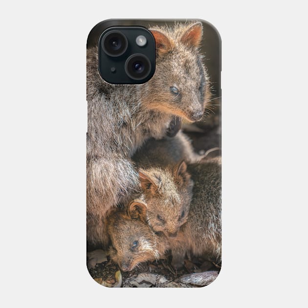 Quokka Family Phone Case by paulmp