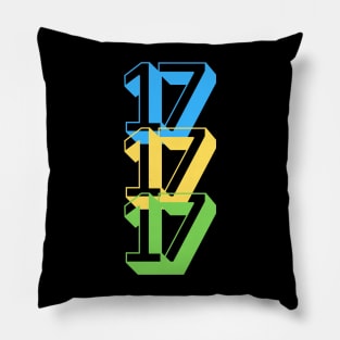 17 Pillow