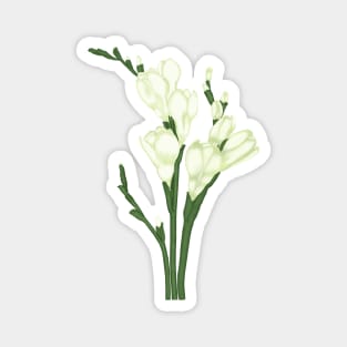 Bouquet of Freesias. Flowers art Magnet