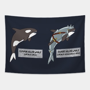 Evolution of the Killer Whale | Games & Upgrades Tapestry