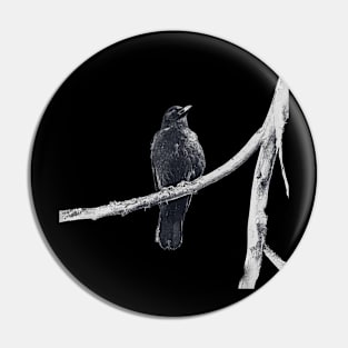 dark drawing of crow on a branch Pin