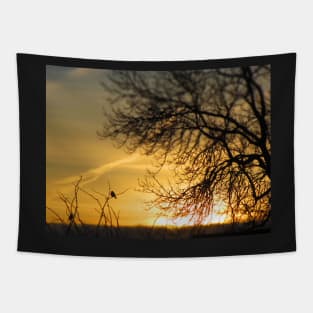 Dawn Chorus Tapestry