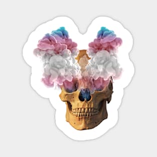 Subtle Trans Flag Halloween Skull Magnet