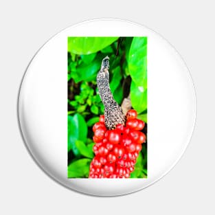 Red peppercorn with bird beak Pin