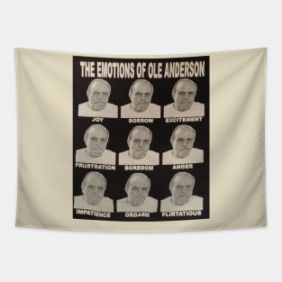 The Emotions Of Ole Anderson Tapestry