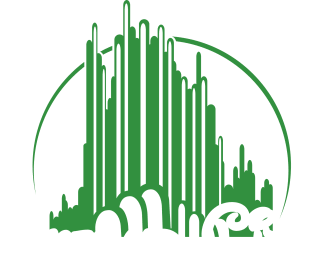 Emerald City Magnet