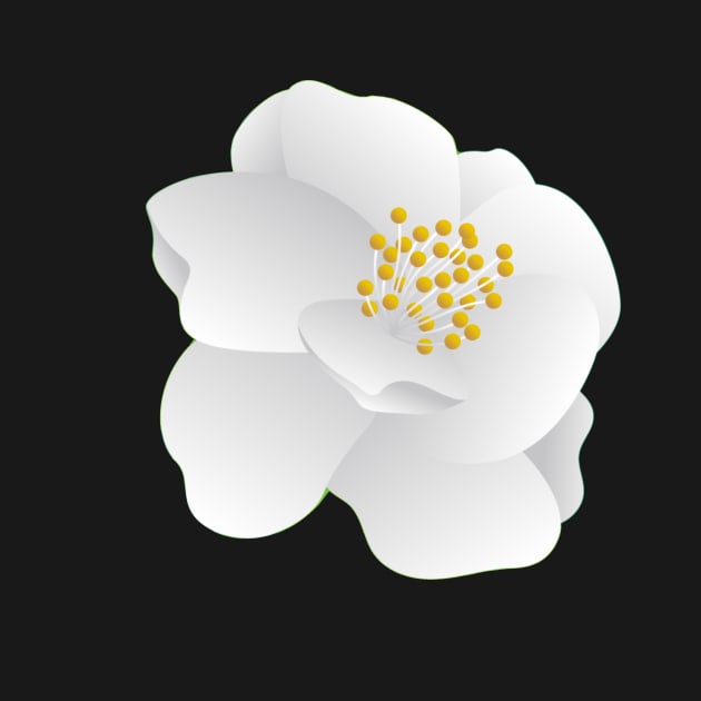 Beautiful White Jasmine Flower by bragova