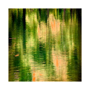 Reflections In a Pond #3 T-Shirt