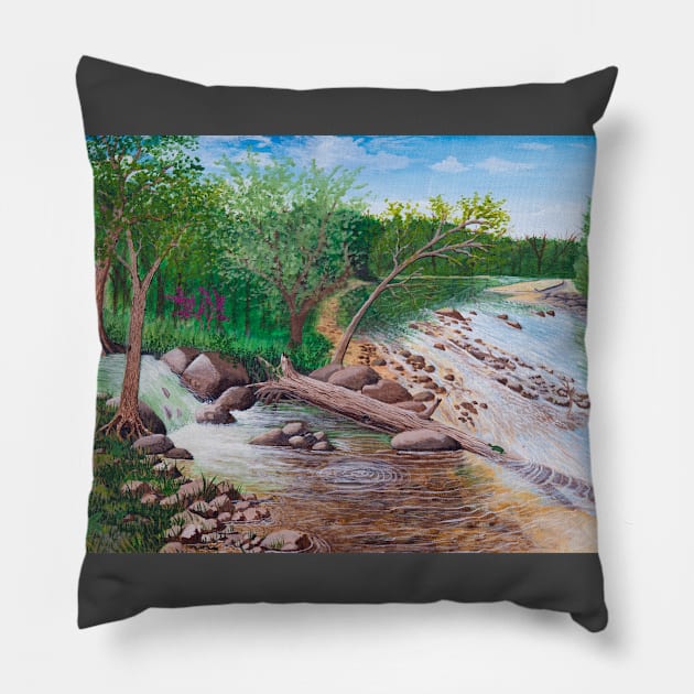 Ozark River Pillow by Matt Starr Fine Art