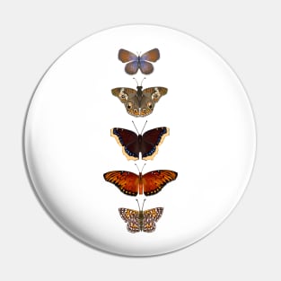 California Butterflies Pin