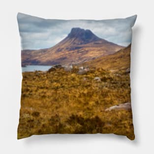 Moorland Views Pillow