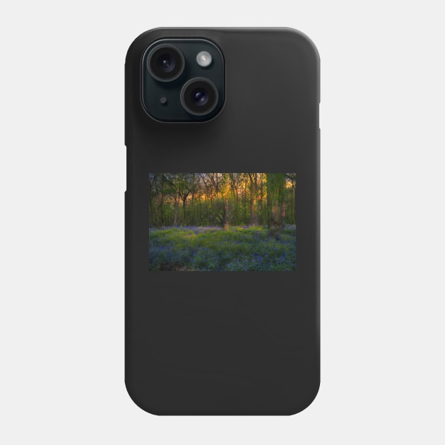 Bluebells Morning Phone Case by Graz-Photos