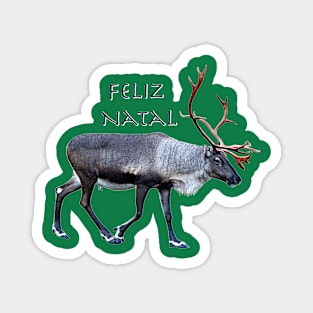 Feliz Natal Magnet