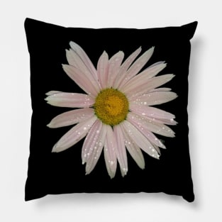 Pink painted daisy with dewdrops Pillow